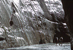 Hiking in the Virgin River Canyon, Zion National Park.